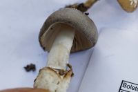 IMG_3556_DxO