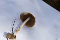 IMG_3557_DxO