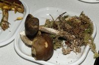 _MG_2450_DxOweb