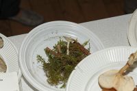 _MG_2498_DxOweb