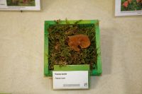 IMG_5924_DxOweb