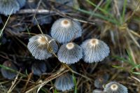 IMG_6223_DxOweb
