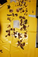 IMG_1667_DxOarticle