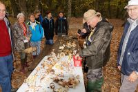 IMG_1488_DxOarticle