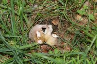 IMG_6954_DxO_DxOweb