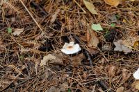 IMG_8666_DxOweb