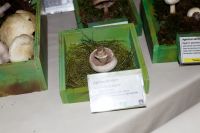 IMG_9257_DxOweb