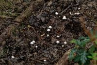 IMG_9046_DxOweb