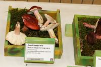 IMG_0306_DxOweb