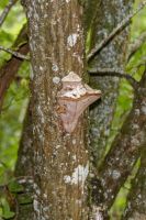 IMG_0057_DxOweb