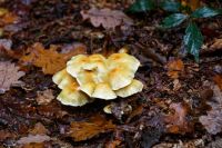 IMG_0498_DxOweb
