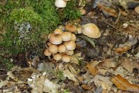 IMG_1465_DxOweb