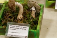 IMG_2170_DxOweb