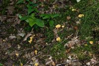 IMG_1740_DxOweb