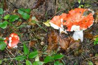 IMG_1818_DxOweb