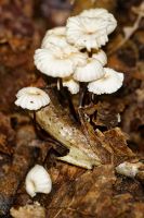 IMG_1797_DxOweb
