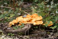 IMG_1802_DxOweb