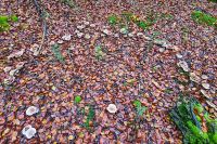 20241020_101935_DxOweb