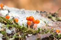 20251019_133013_DxOweb