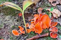 20251025_150713_DxOweb